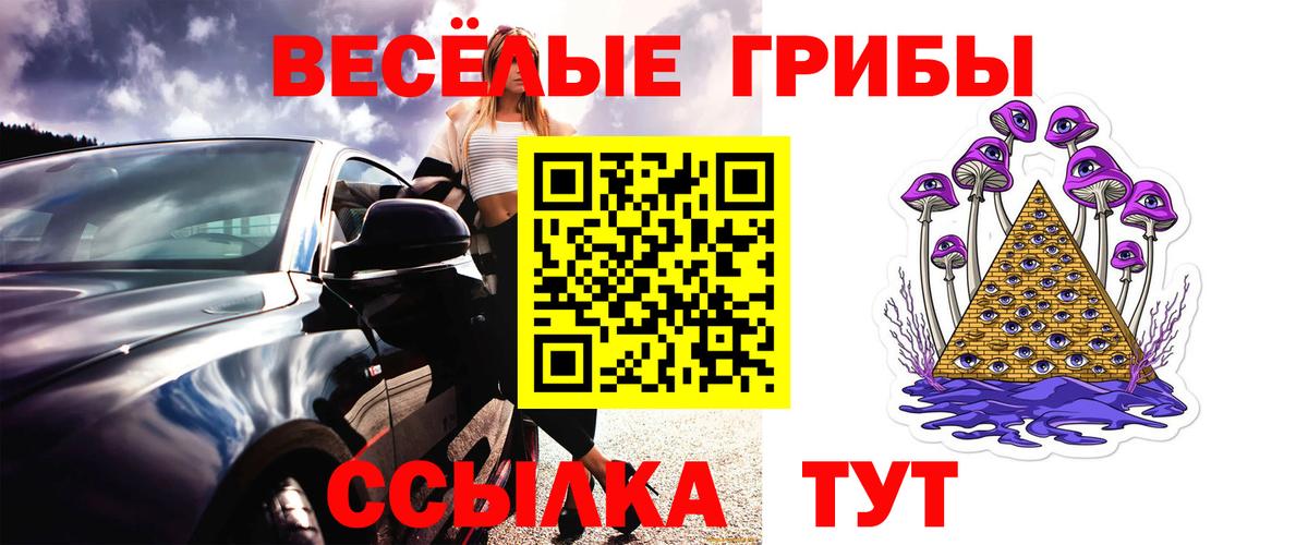 Псилоцибиновые грибы GOLDEN TEACHER  Псилоцибиновые грибы Psilocybe  Вход с VPN  Назрань 