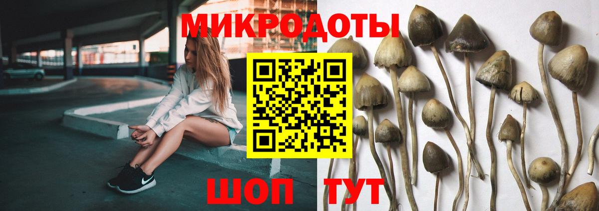 Галлюциногенные грибы GOLDEN TEACHER Назрань
